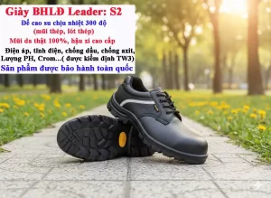 giay bo ho lao dong 2