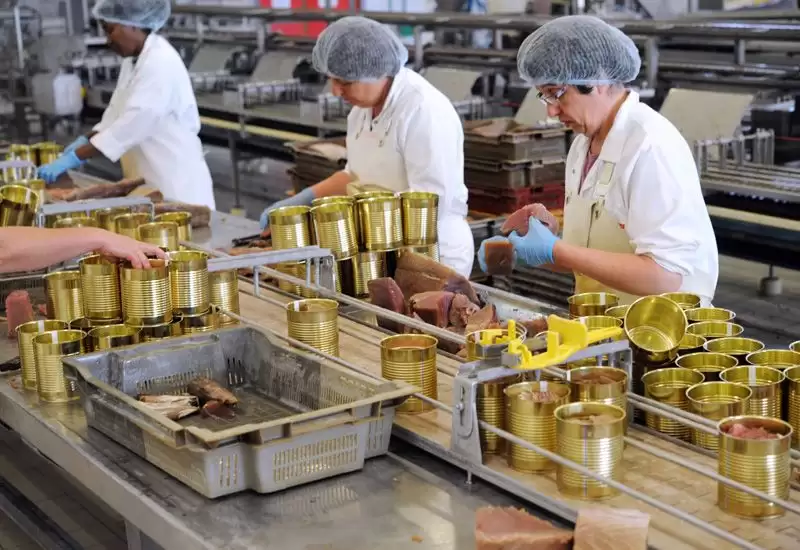 Đồng Phục Công Ty Sản Xuất – Thiết Kế Theo Yêu Cầu, Chất Lượng Cao, Giao Hàng Đúng Hẹn 5 Đồng Phục Công Ty Sản Xuất – Thiết Kế Theo Yêu Cầu, Chất Lượng Cao, Giao Hàng Đúng Hẹn